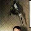 Psycho : photo Gus Van Sant, Vince Vaughn