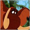 Tarzan : photo