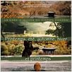 Printemps, été, automne, hiver... et printemps : Affiche Kim Ki-duk