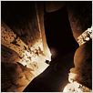 Batman Begins : Affiche