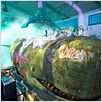 Gang de requins : photo Eric Bergeron