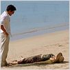 Bridget Jones : l'âge de raison : Photo Beeban Kidron, Renée Zellweger