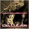 Cellular : photo David R. Ellis