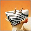Zig-Zag : photo Frederik Du Chau