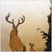 Bambi : photo Walt Disney