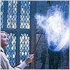 Harry Potter et l'Ordre du Phénix : photo David Yates