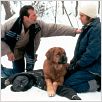 Un Plan simple : photo Bill Paxton, Billy Bob Thornton, Sam Raimi