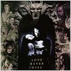 Dracula : Photo Francis Ford Coppola, Gary Oldman, Winona Ryder
