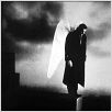 Les Ailes du désir : Photo Bruno Ganz, Wim Wenders