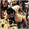 Les Dents de la Mer : photo Roy Scheider, Steven Spielberg
