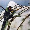 Moby Dick : photo