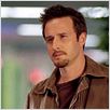 Arac attack, les monstres à huit pattes : photo David Arquette, Ellory Elkayem