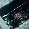 Avant la nuit : photo Julian Schnabel