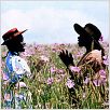 La Couleur pourpre : Photo Steven Spielberg