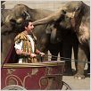 Histoires enchantées : photo Adam Sandler, Adam Shankman