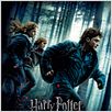 Harry Potter et les reliques de la mort - partie 1 : affiche David Yates