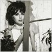 Ces messieurs dames : photo Pietro Germi, Virna Lisi