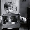 Le Ruban blanc : photo Michael Haneke