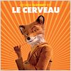 Fantastic Mr. Fox : affiche Wes Anderson