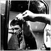 Le Prix d'un homme : photo Lindsay Anderson, Richard Harris