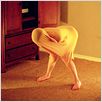 The Future : photo Miranda July