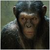 La Planète des singes : les origines : photo Rupert Wyatt
