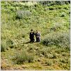 Hors Satan : Photo Bruno Dumont