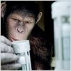 La Planète des singes : les origines : photo Rupert Wyatt