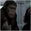 La Planète des singes : les origines : Photo Rupert Wyatt