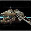 Océanosaures 3D : Voyage au Temps des Dinosaures : photo