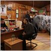 Leyla ile Mecnun : photo