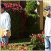 Jack et Julie : photo Adam Sandler, Dennis Dugan