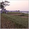 Bi, n'aie pas peur ! : photo Phan Dang Di