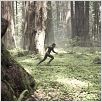 After Earth 2013 FRENCH WEBRip LD XVID 73v3n After Earth 2013 FRENCH WEBRip LD XVID 73v3n