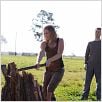Looper : photo