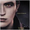 Twilight - Chapitre 5 : Révélation 2e partie : affiche Bill Condon, Robert Pattinson, Stephenie Meyer