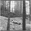 Rêve et silence : photo