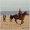 Turf : photo Alain Chabat, Lucien Jean-Baptiste, Philippe Duquesne, Vahina Giocante