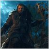 Le Hobbit : un voyage inattendu : photo Richard Armitage