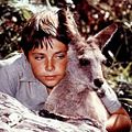 Photo : Skippy le kangourou