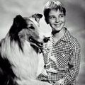 Photo : Lassie