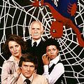 Photo : The Amazing Spider-Man