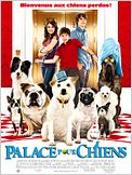 Palace pour chiens