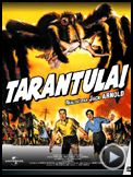 Photo : Tarantula Bande-annonce VO