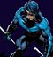 Nightwing M.