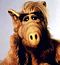 ALF.