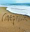 Cinephille