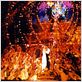 Moulin Rouge ! : photo Baz Luhrmann
