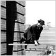 Monte là-dessus : photo Fred Newmeyer, Harold Lloyd, Sam Taylor