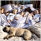 Une Famille 2 en 1 : photo Raja Gosnell